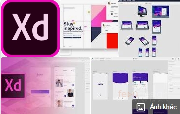 Hướng Dẫn Cài Đặt Adobe Xd 2021 - Fedudesign