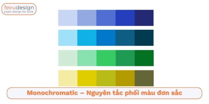 bánh xe phối màu