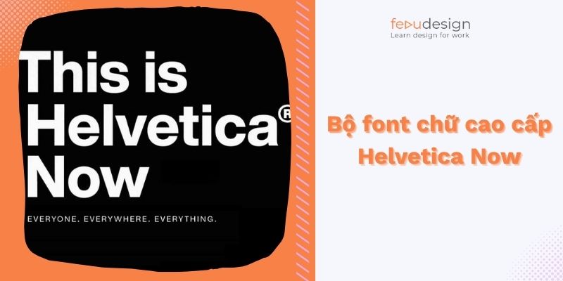 Bộ font chữ cao cấp Helvetica Now