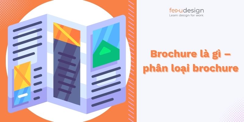 Brochure là gì – phân loại brochure