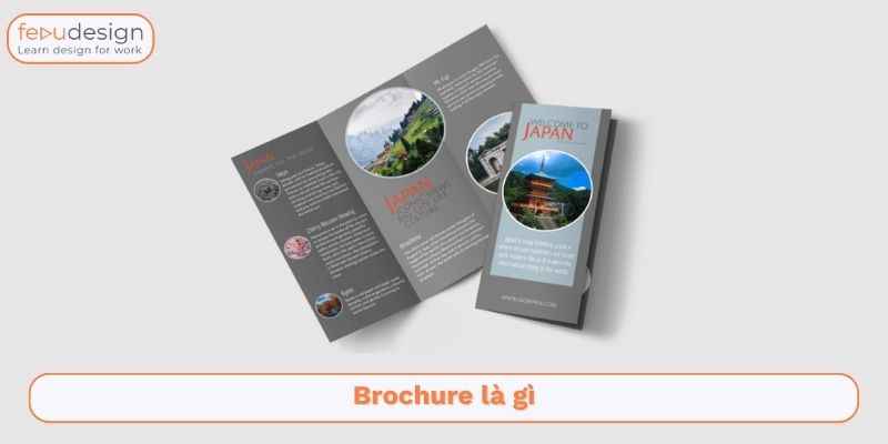 Brochure là gì