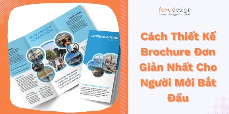 Cách Thiết Kế Brochure Đơn Giản Nhất Cho Người Mới Bắt Đầu