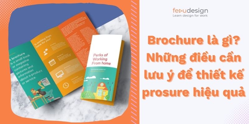 Brochure là gì? Những điều cần lưu ý để thiết kế prosure hiệu quả