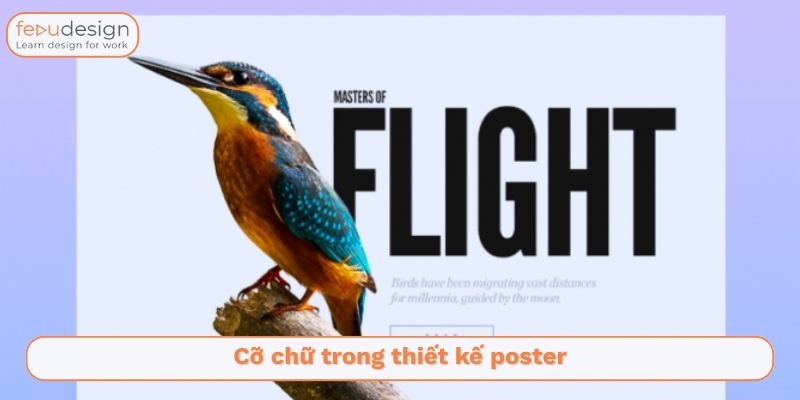 sắp xếp bố cục chữ trong poster