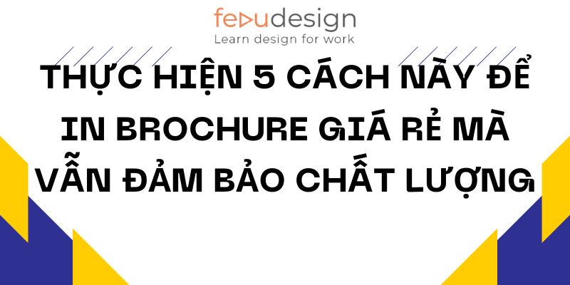 Thực Hiện 5 Cách Này Để In Brochure Giá Rẻ Mà Vẫn Đảm Bảo Chất Lượng