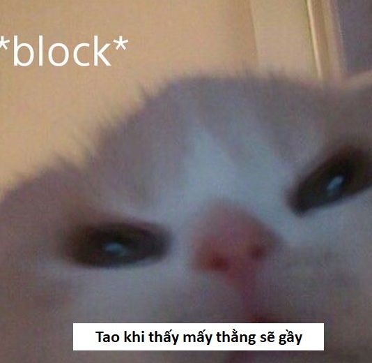 chế meme sẽ