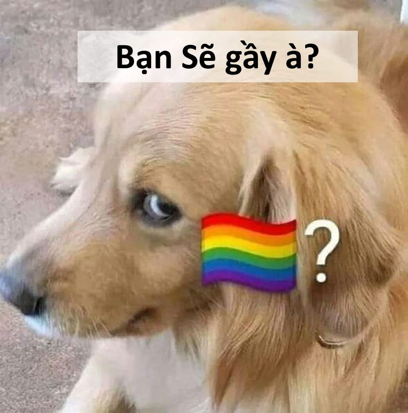 Meme sẽ gầy vui
