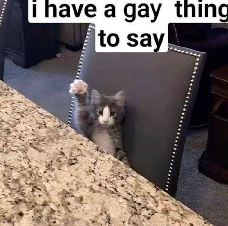 Sẽ gầy anime meme thú vị