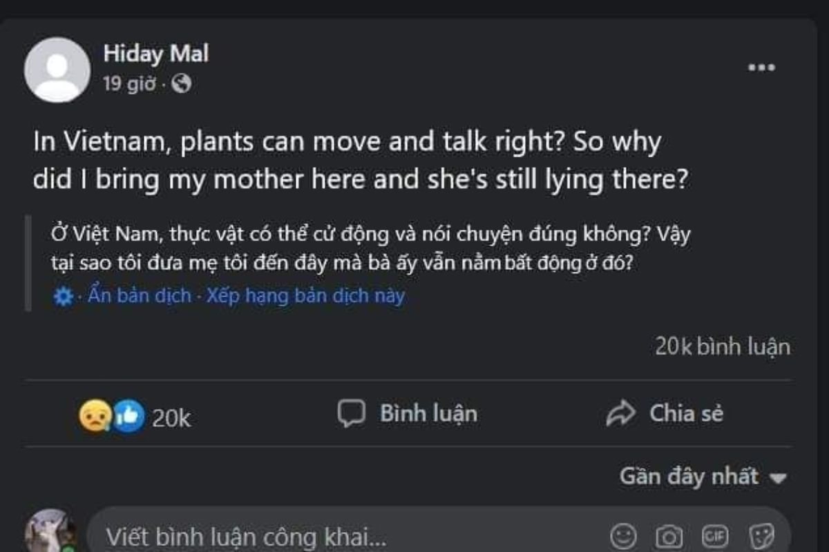 ảnh meme dak