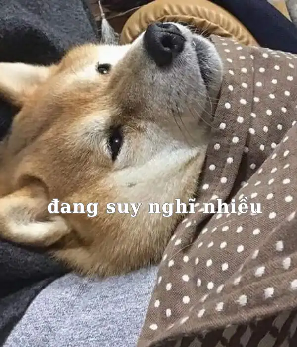 Cố suy nghĩ để giữ dáng nghiêm túc