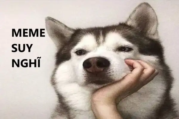 Đang suy nghĩ coi mai ăn cơm hay mì