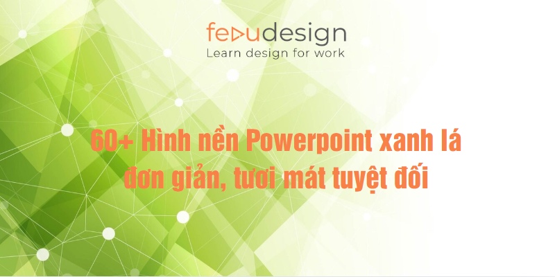 60+ Hình nền Powerpoint xanh lá đơn giản tươi mát tuyệt đối
