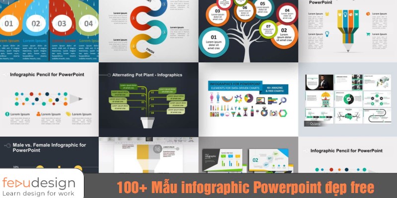 Top mẫu infographic Powerpoint đẹp nhất đảm bảo đầy đủ và rõ ràng