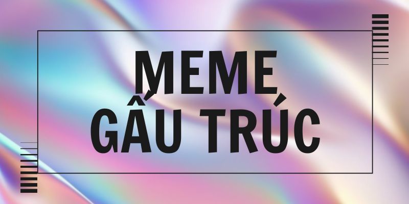 Tổng hợp meme gấu trúc weibo hài hước, ảnh troll ngạc nhiên cực bựa