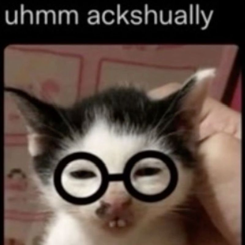 Meme mèo hỗn