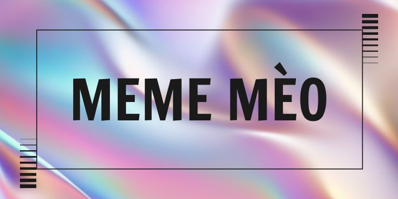 Meme mèo là gì? Biểu cảm lầy lội từ boss thống trị mạng xã hội