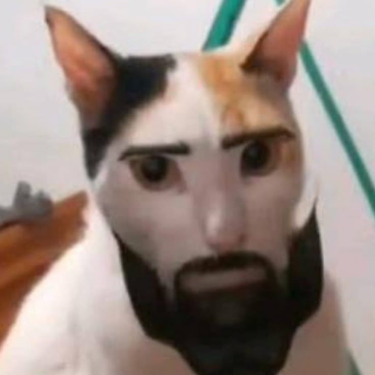 Meme mewing hài hước
