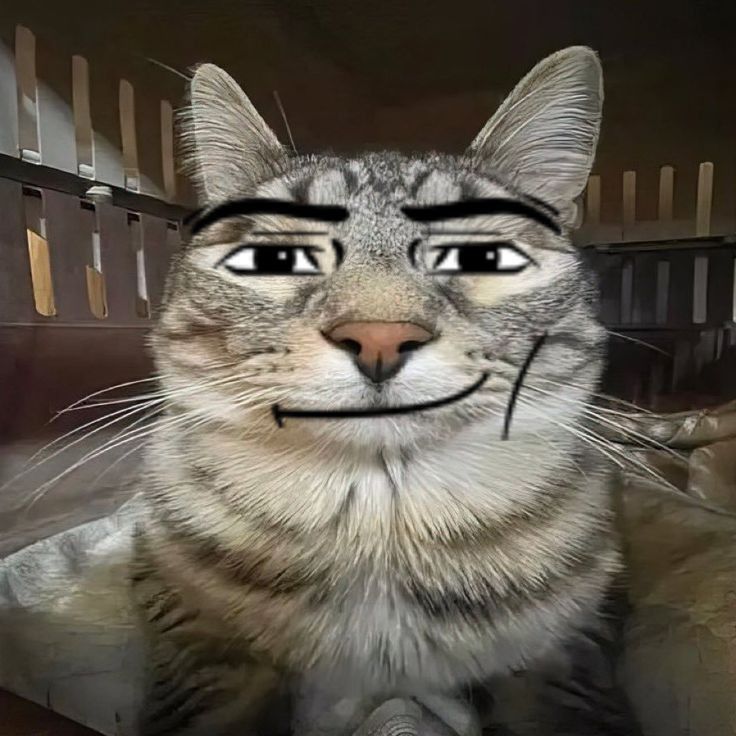 Meme mewing mèo