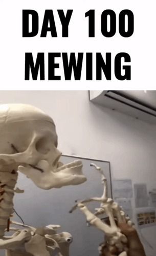 Meme mewing vui