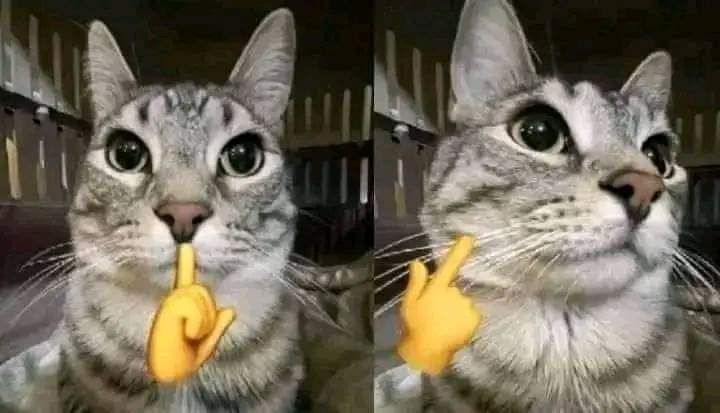 Mewing meme cảm xúc thật