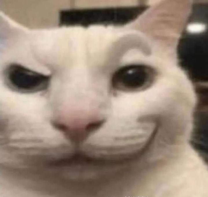 Mewing meme kiểu cách