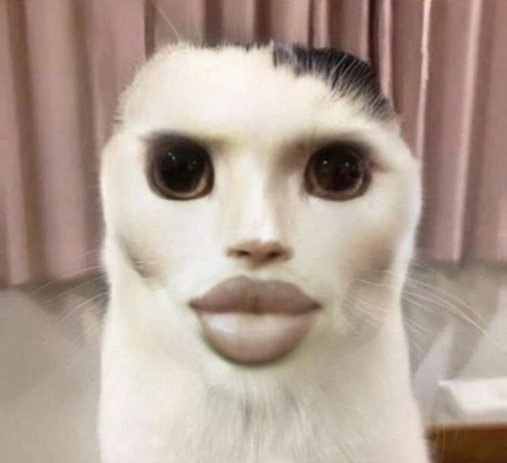 Mewing meme kỳ lạ