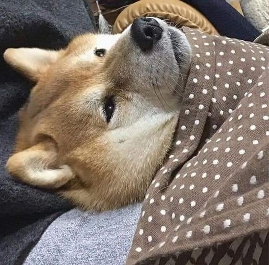 Nghĩ coi có nên hỏi lại lần nữa
