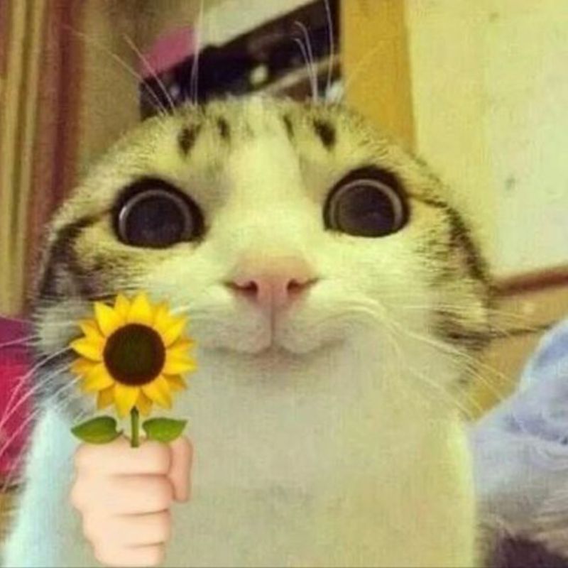 Nhìn như thương nhưng trong lòng đầy tính toán