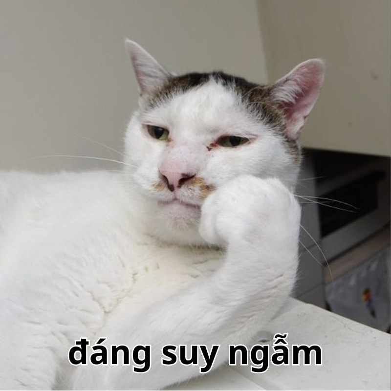 Suy nghĩ nghiêm túc về chuyện ngủ nướng