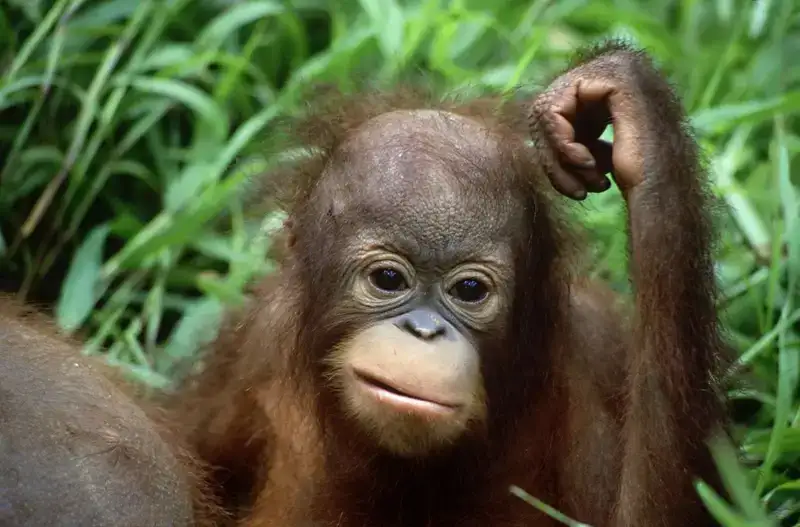 Suy nghĩ về tương lai trong hoang mang tột độ