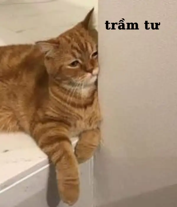 Tại sao cái đầu lại nghĩ nhiều vậy