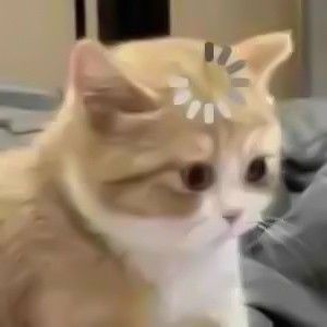 Tự hỏi sao mình sống hoài mà vẫn chưa khá